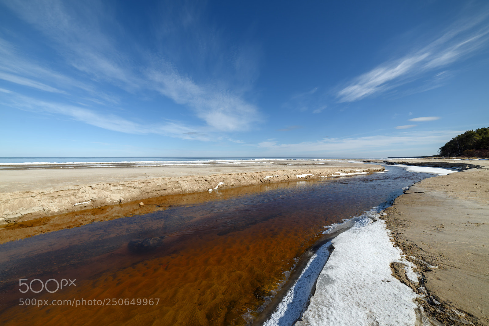 Nikon D810 sample photo. Early spring on the photography