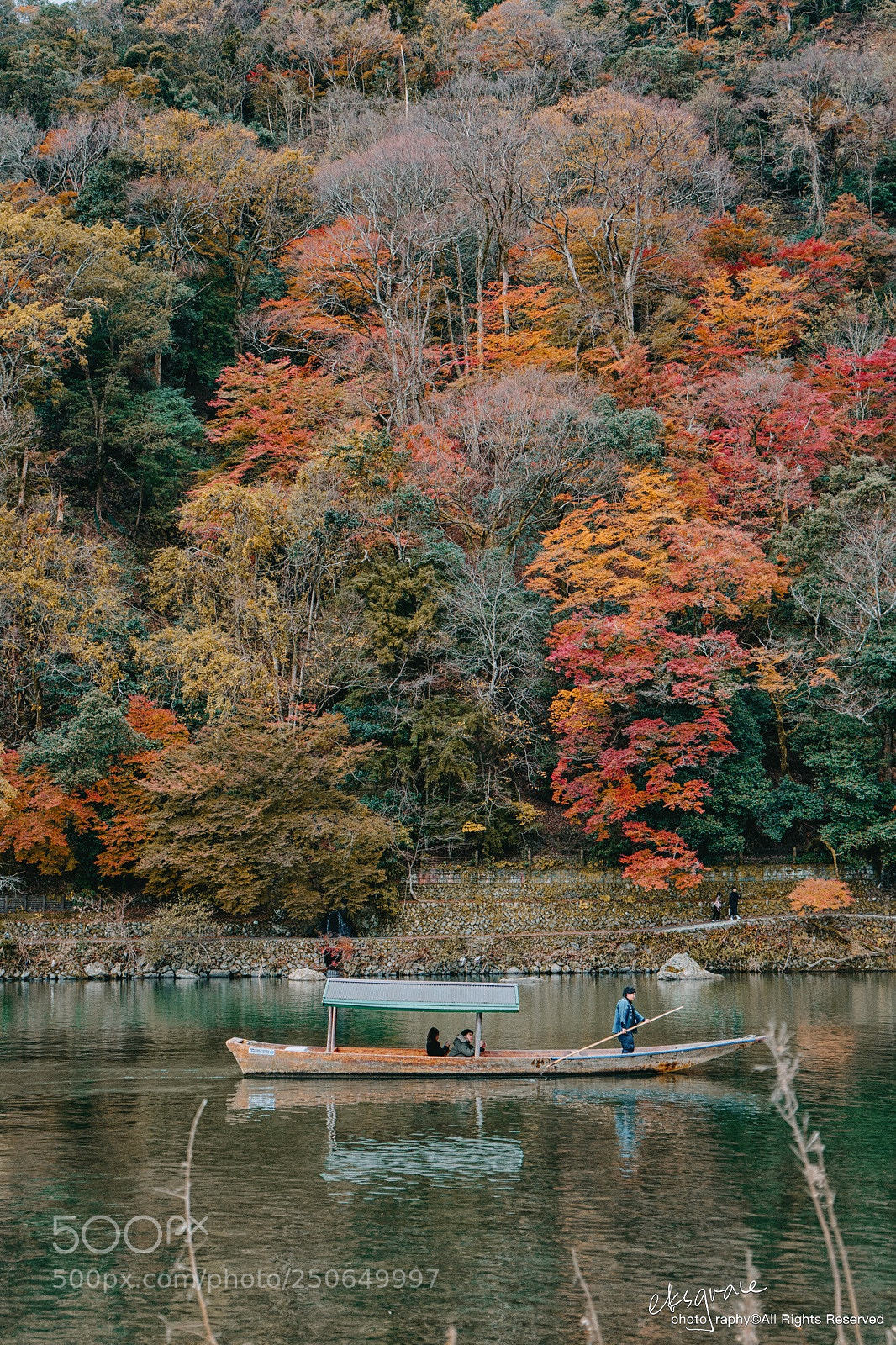 Sony a7 II sample photo. Kyoto autumn photography
