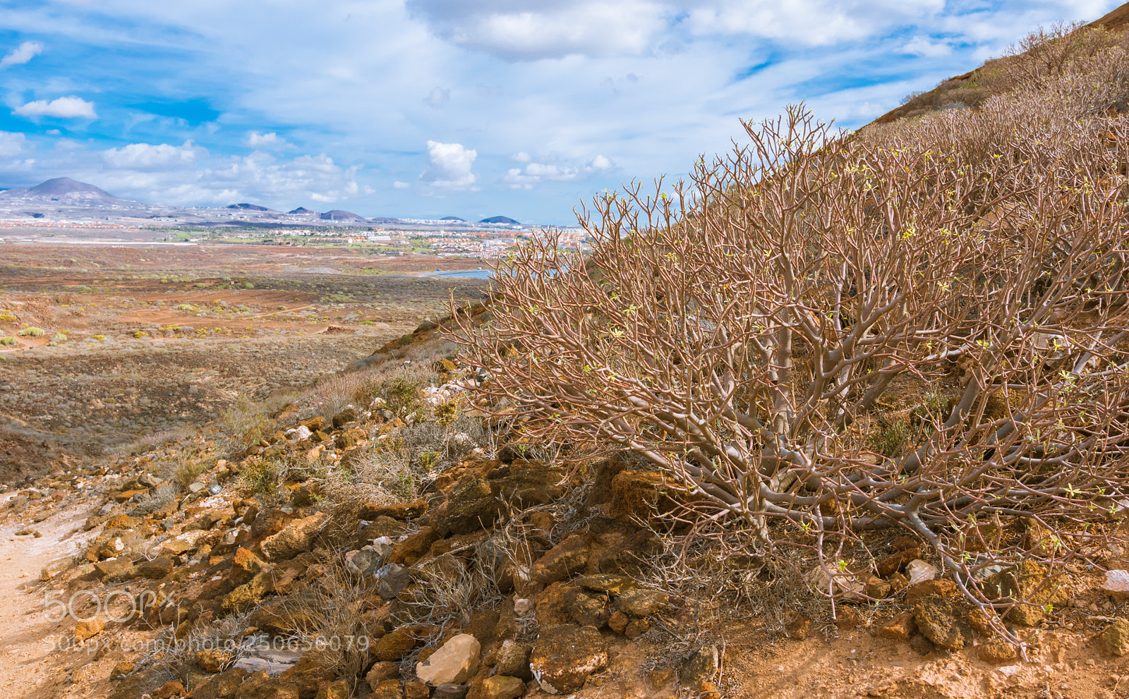Canon EOS 7D Mark II sample photo. Reserve montana amarilla on photography