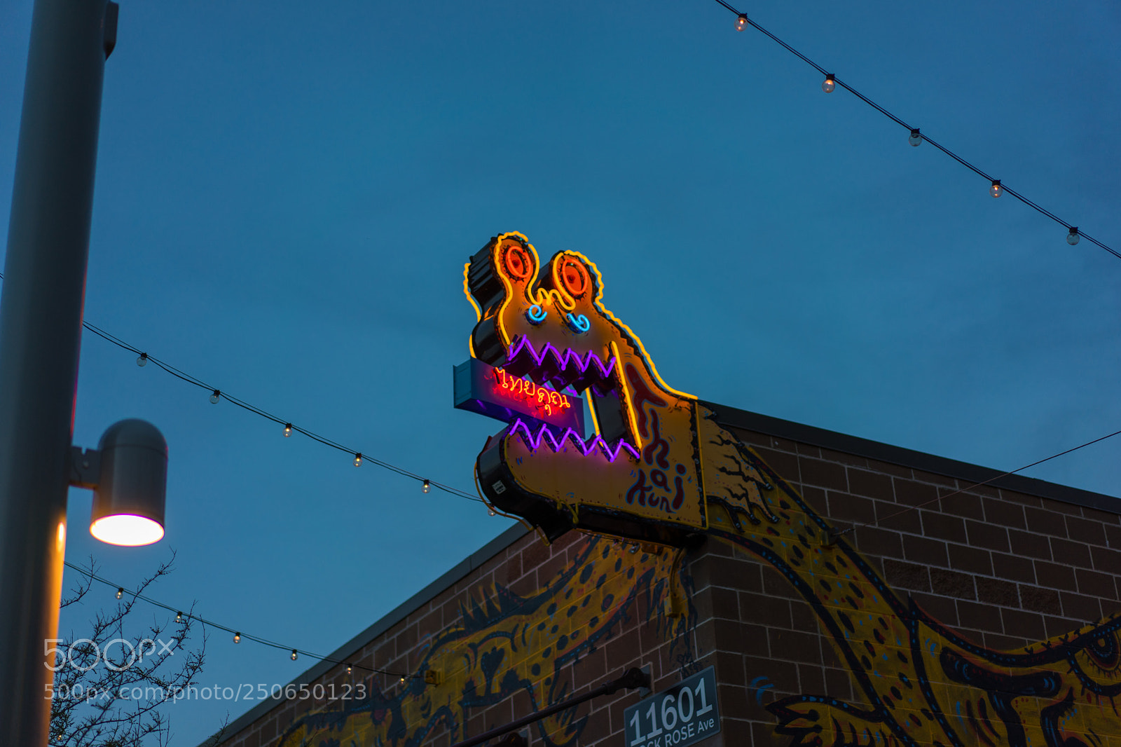 Sony a7 II sample photo. Growl!! photography