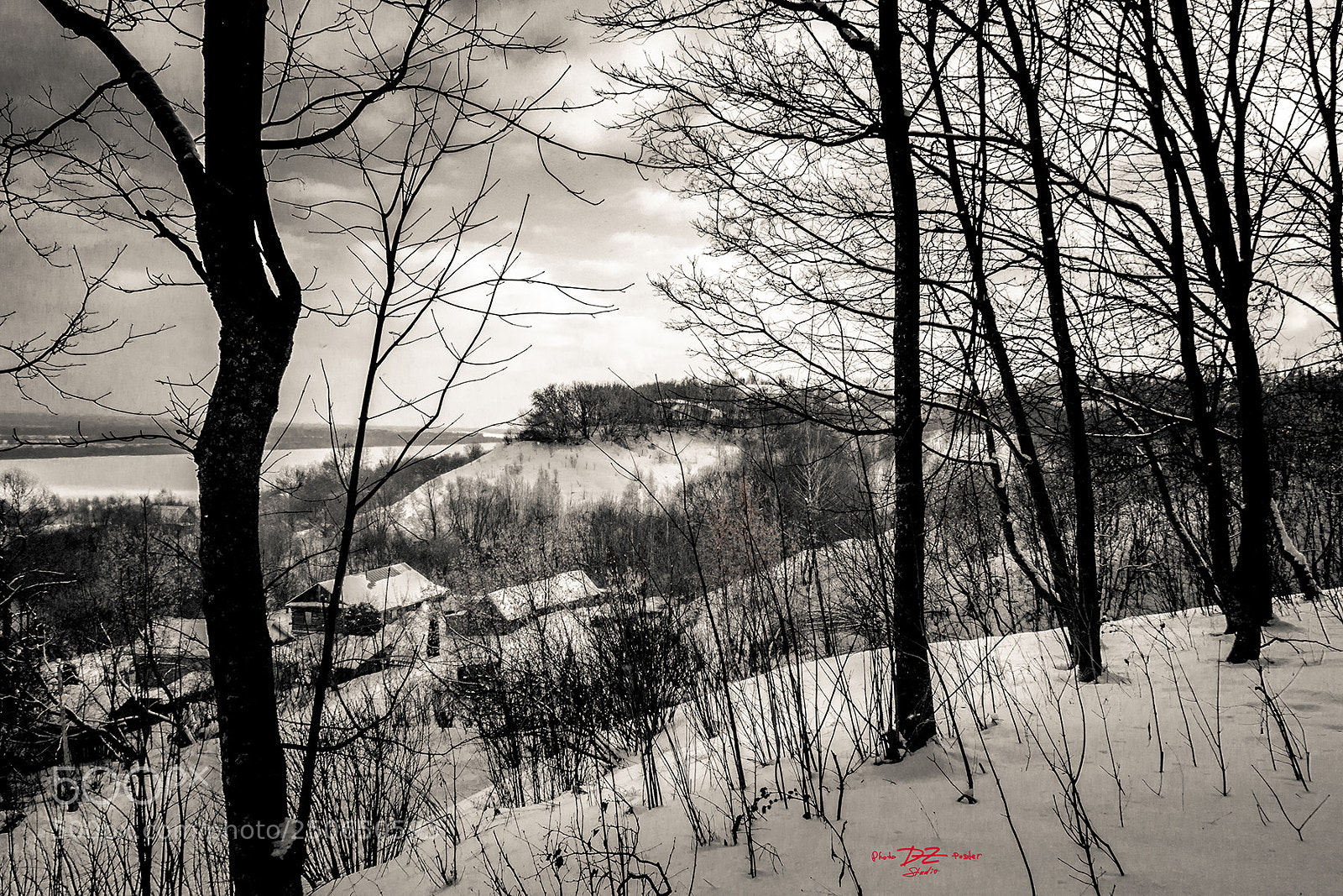 Canon EOS 50D sample photo. Winter landscape with black photography