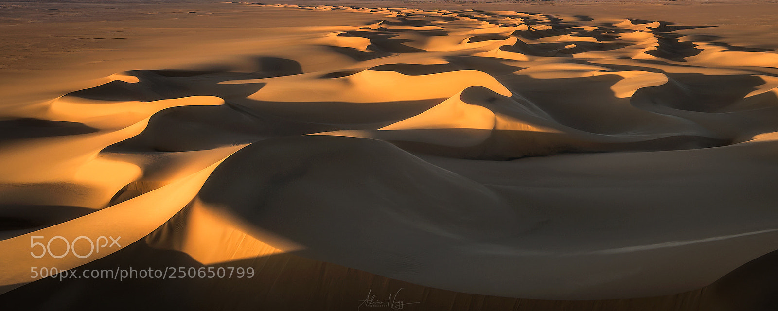 Nikon D600 sample photo. Sand dunes, egypt photography