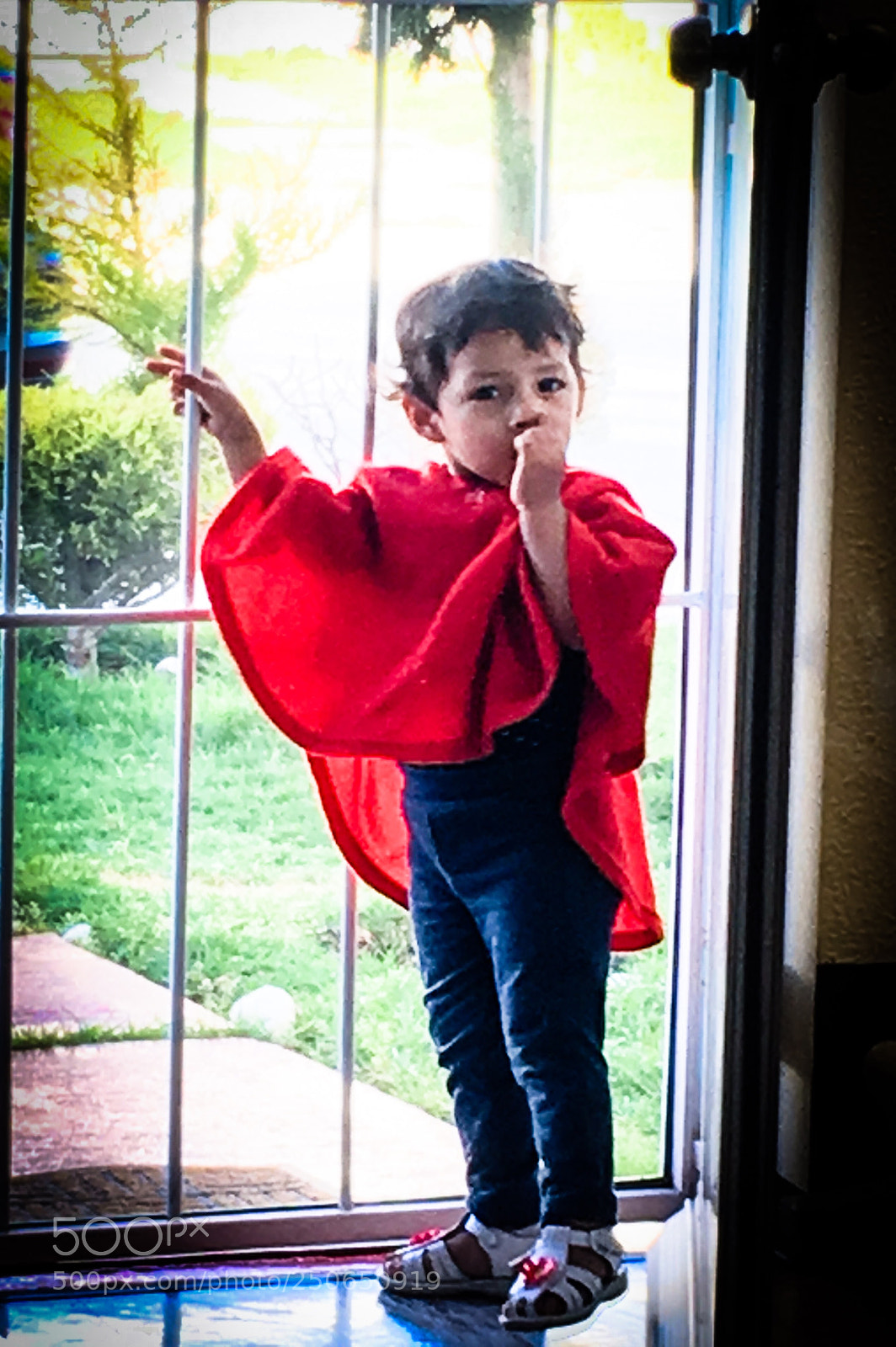 Apple iPhone SE sample photo. The door photography