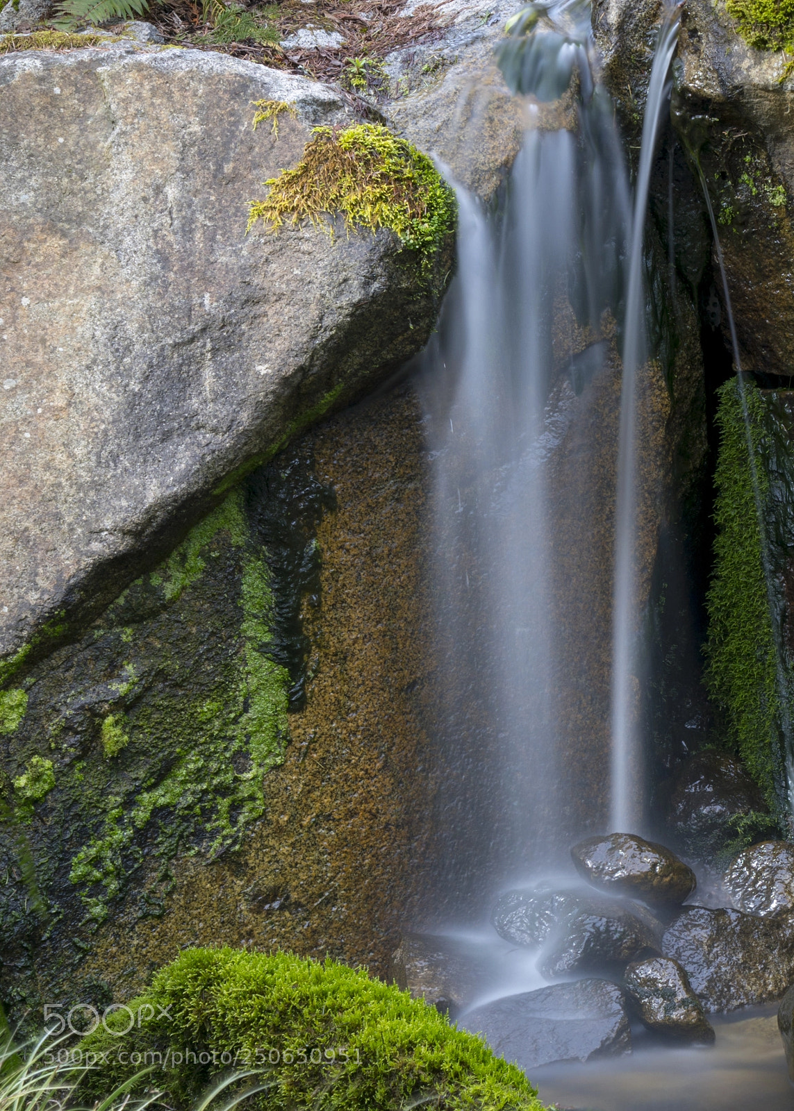 Sony a7R III sample photo. Silk photography
