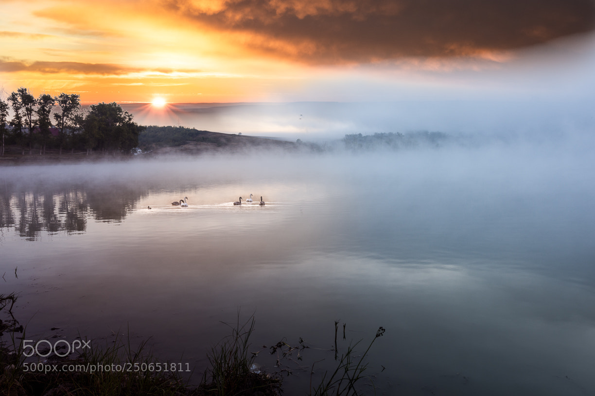 Nikon D7200 sample photo. Lake ciurbesti in morning photography