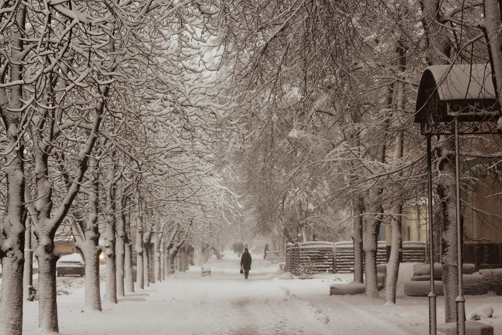 Snowfall by Vladislav Lezhaisky on 500px.com