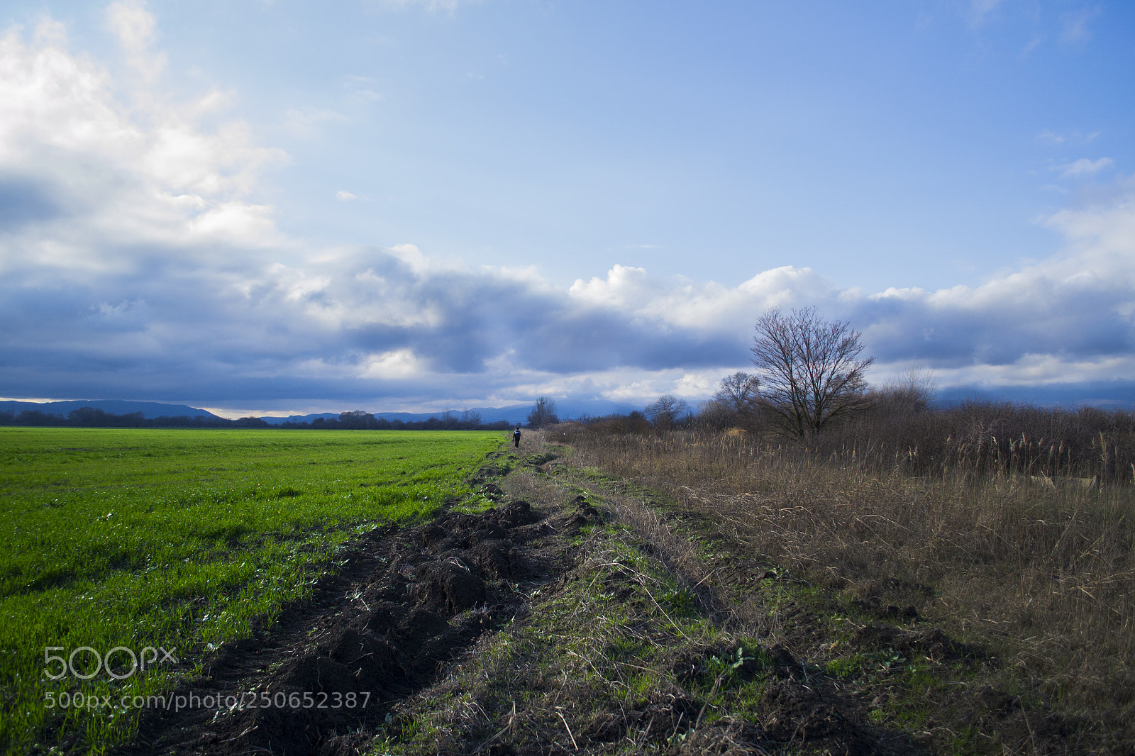 Nikon D3100 sample photo. Summer vs winter photography