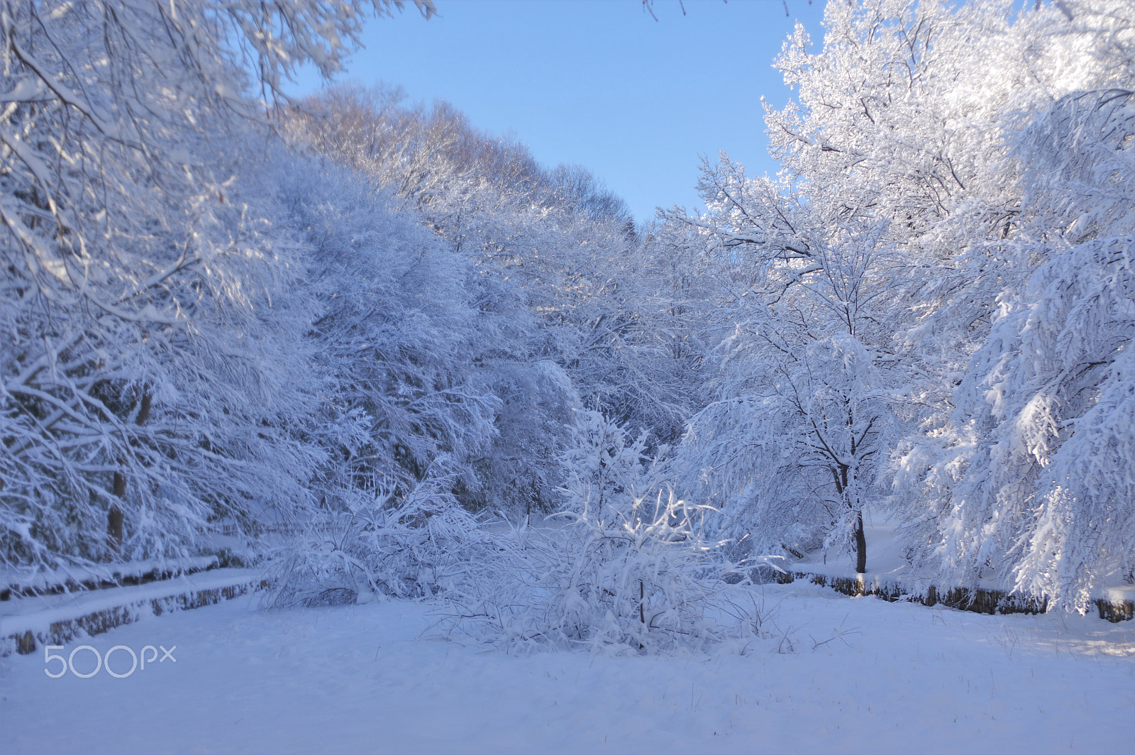 smc PENTAX-DA L 18-55mm F3.5-5.6 sample photo. 冬の思い出　winter memories photography