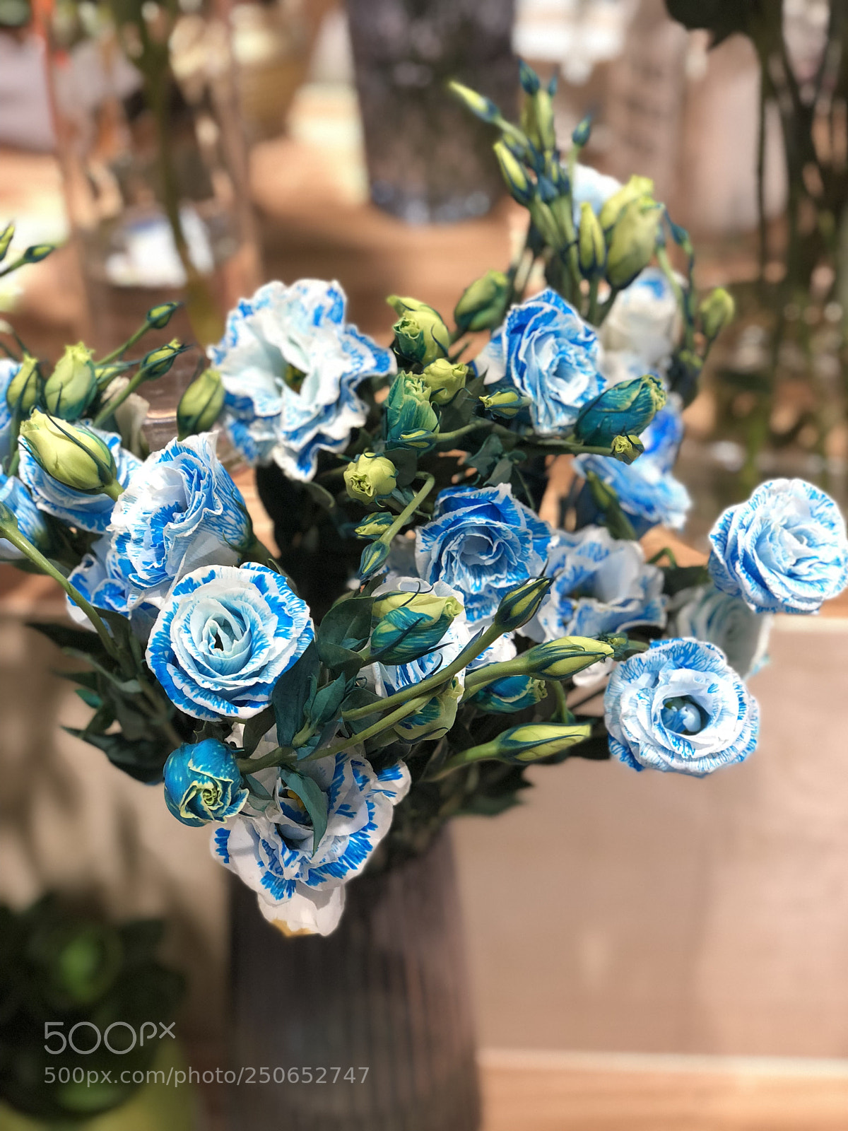 Apple iPhone X sample photo. ? photography