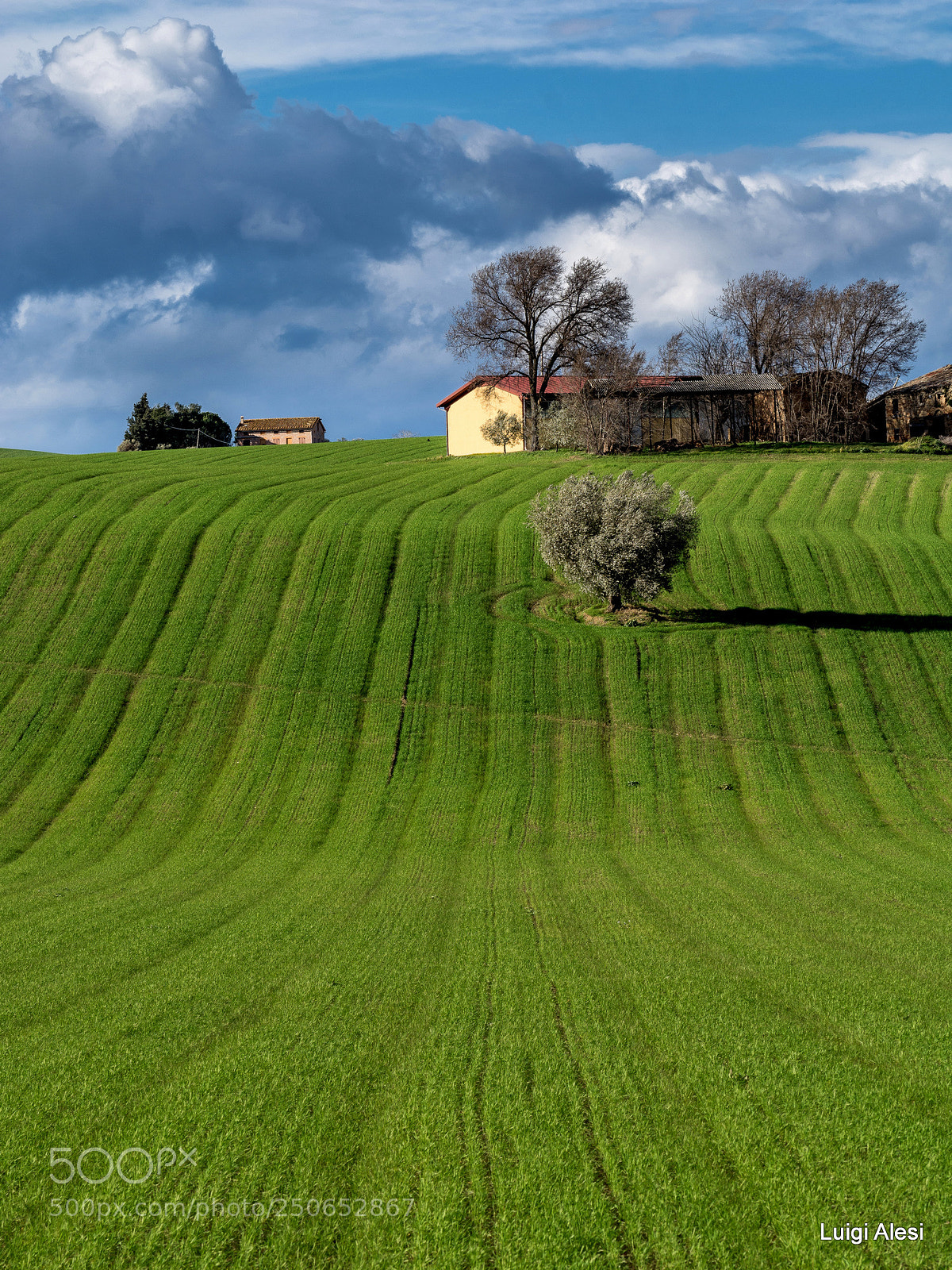 Nikon D7100 sample photo. Campagna di san severino photography