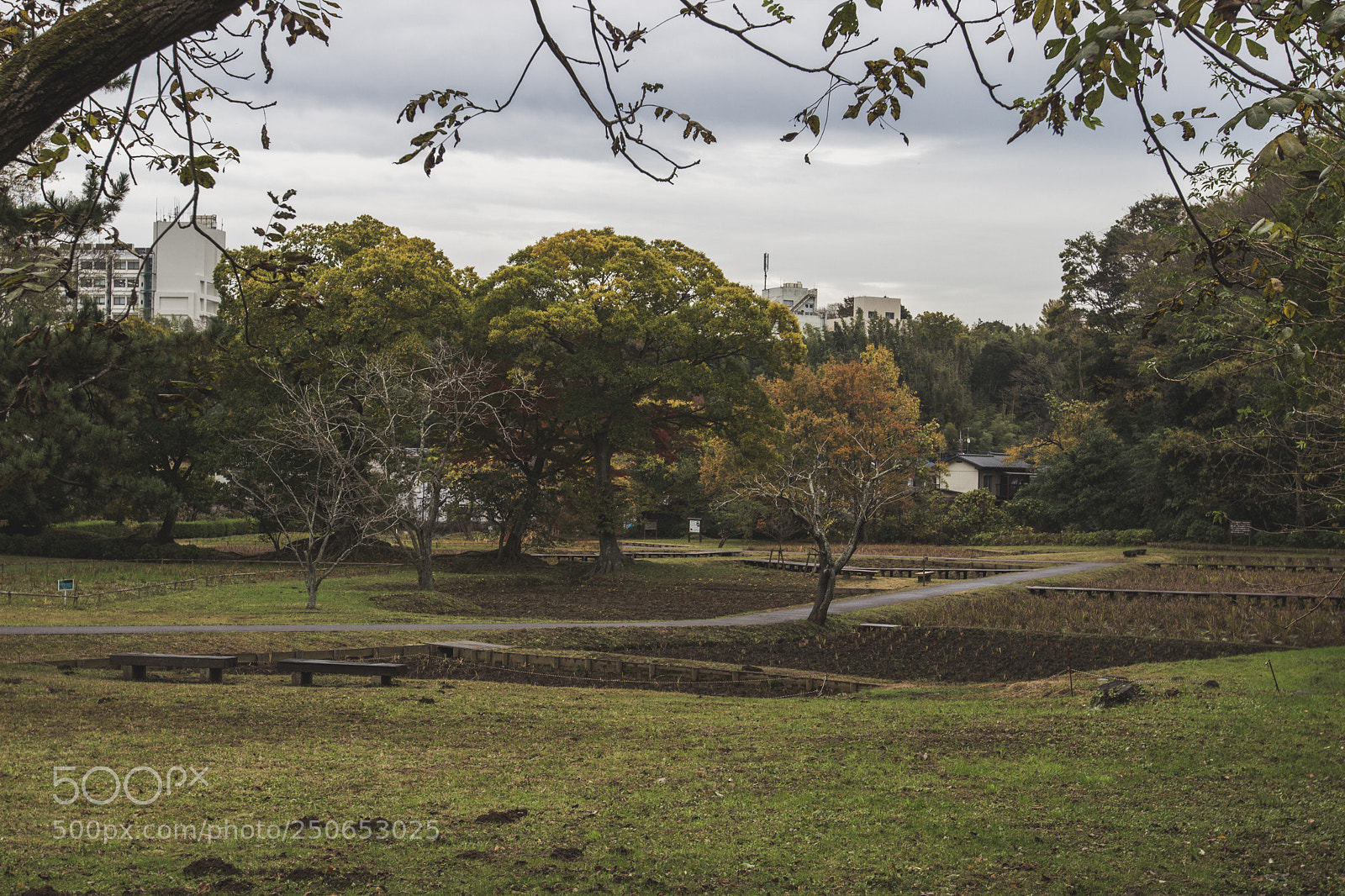 Canon EOS 600D (Rebel EOS T3i / EOS Kiss X5) sample photo. Jardin d'automne photography