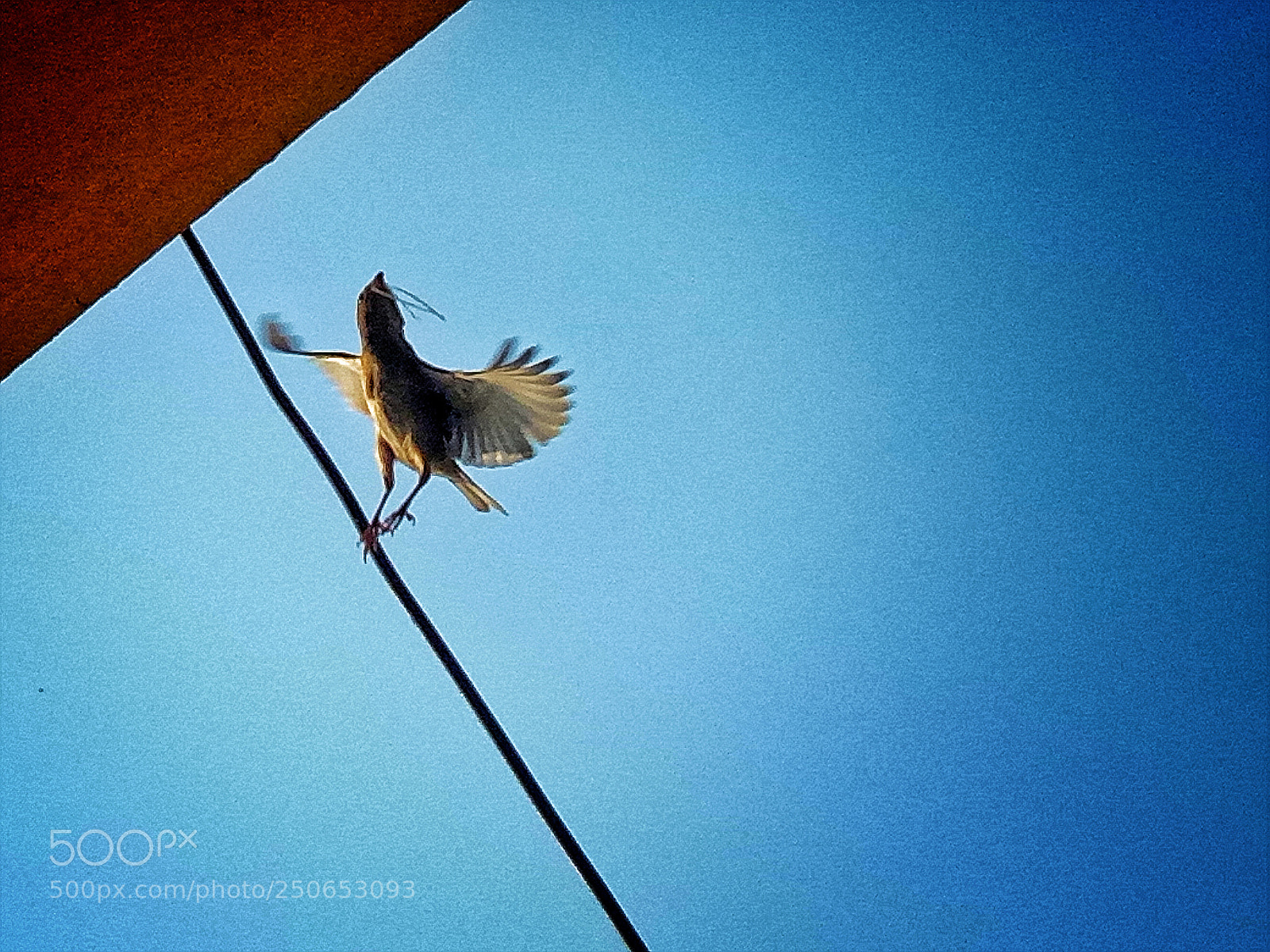 OPPO A1601 sample photo. Untitled photography