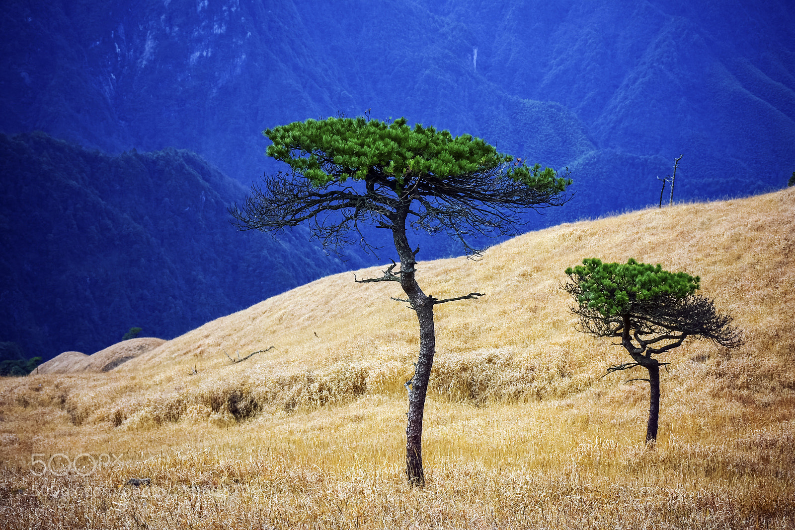 Nikon D7200 sample photo. Wugong mountain photography