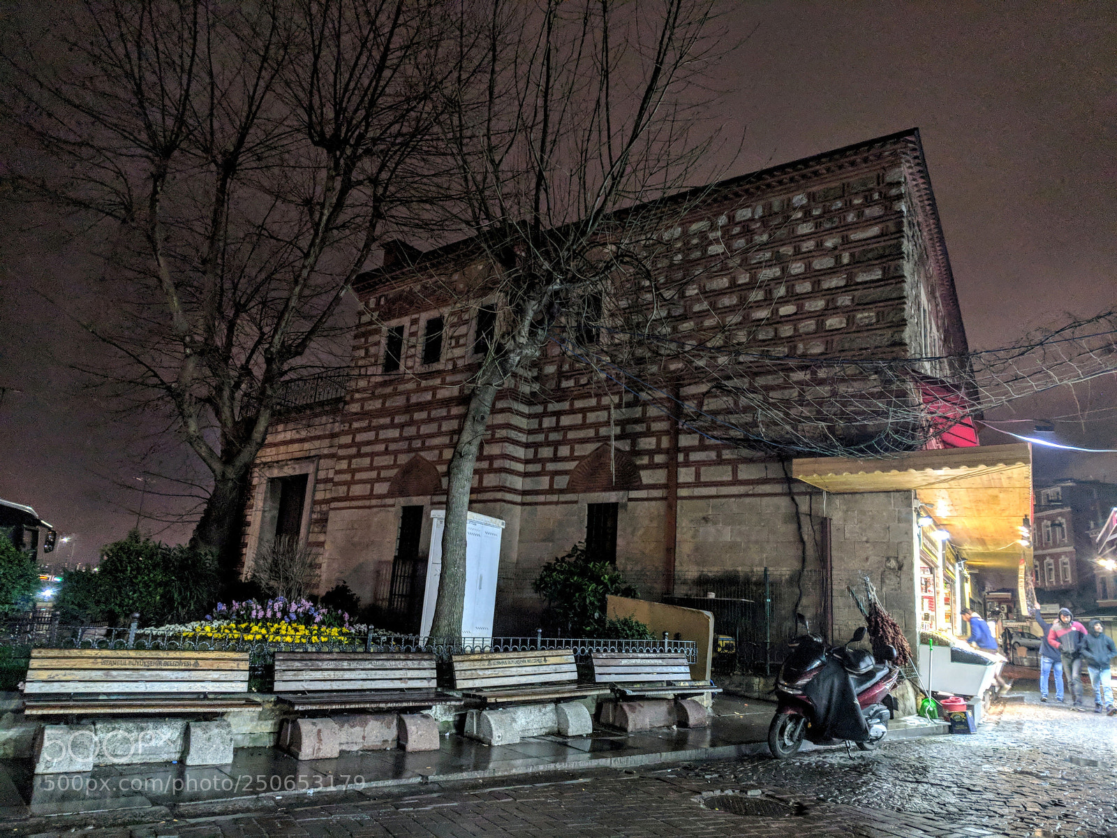 Google Pixel XL sample photo. Mesh photography