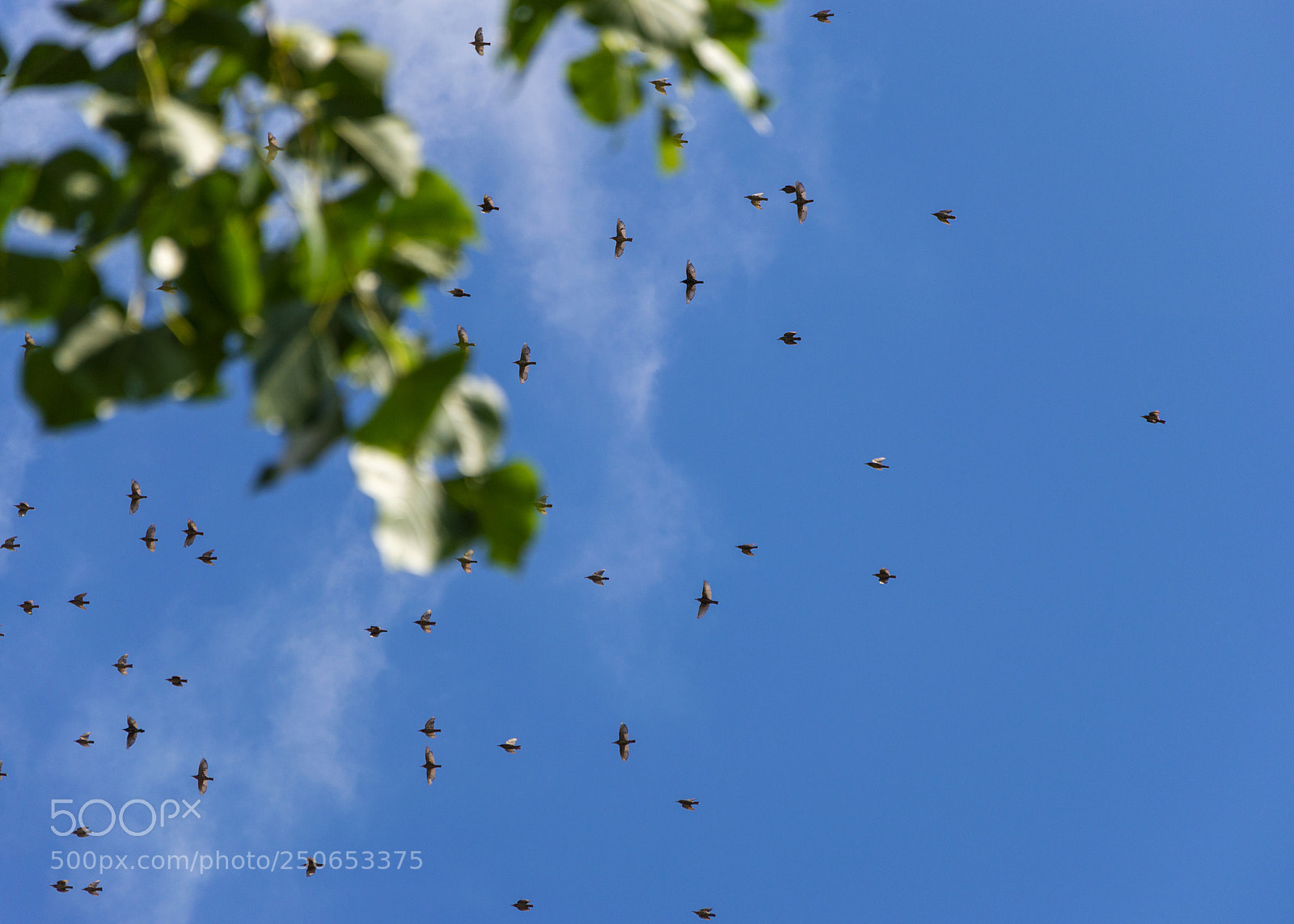 Nikon D3200 sample photo. Ritrovamenti_2016.jpg photography