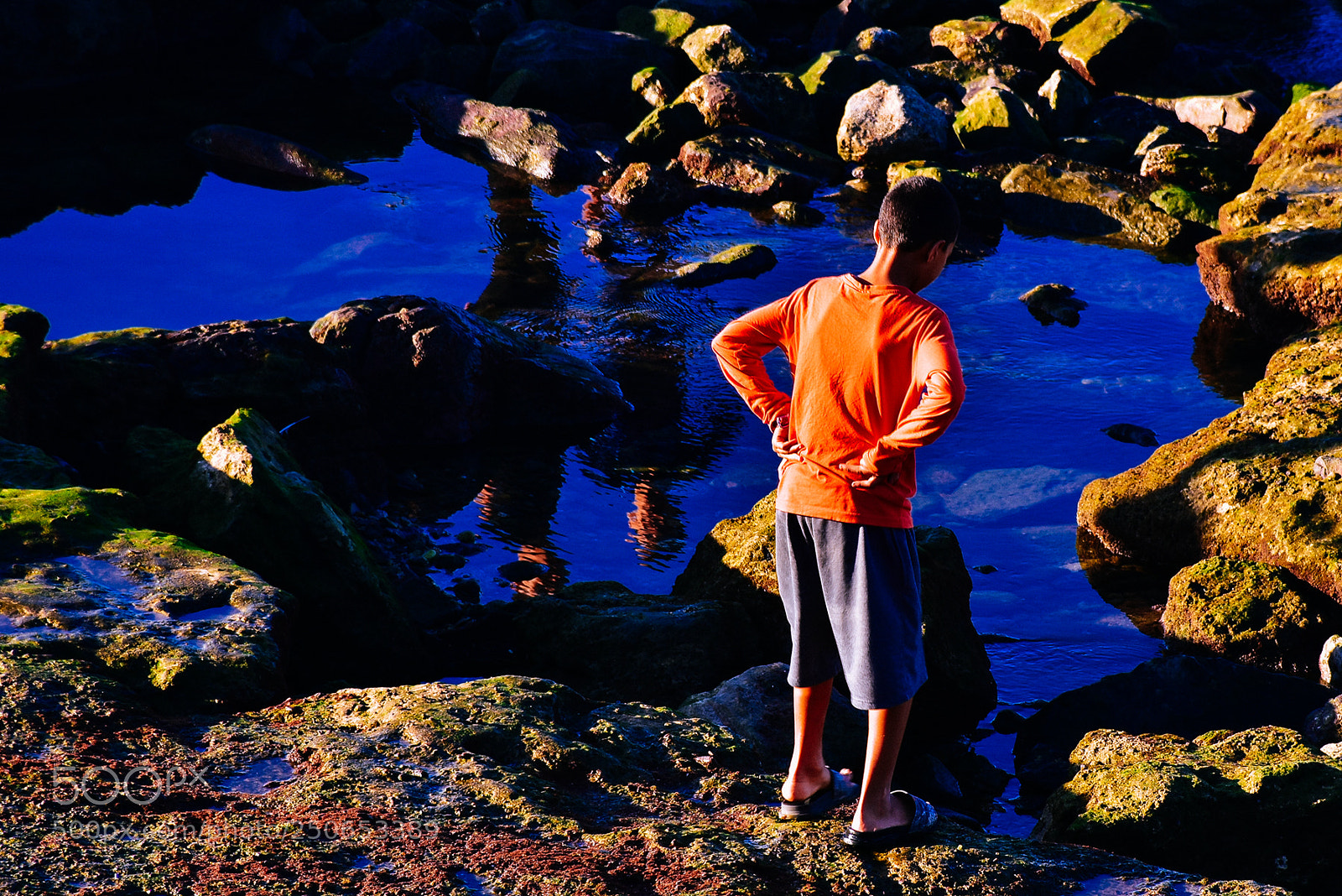 Nikon D7200 sample photo. Reflection photography