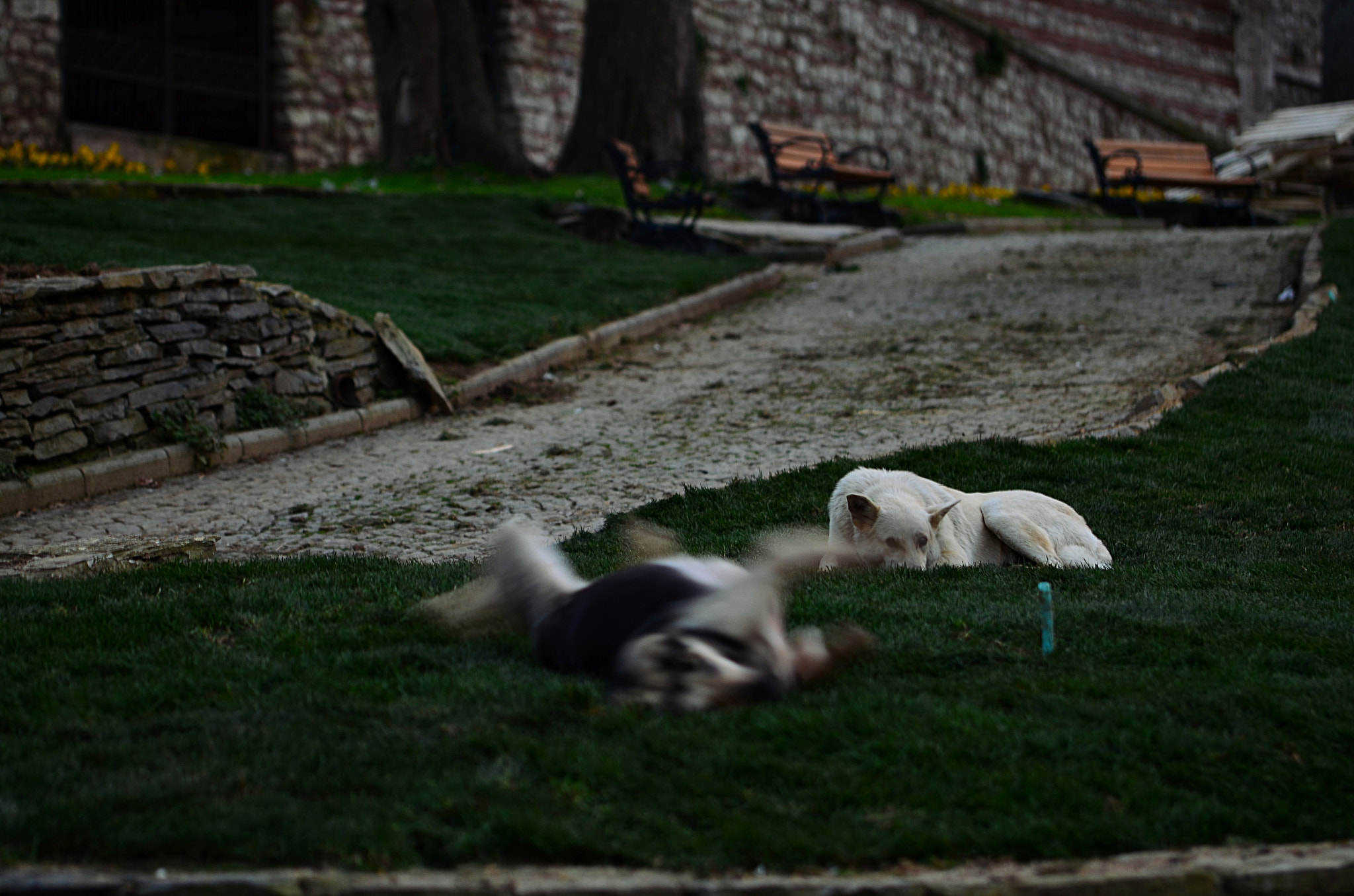 Nikon D7000 sample photo. Oa37 photography