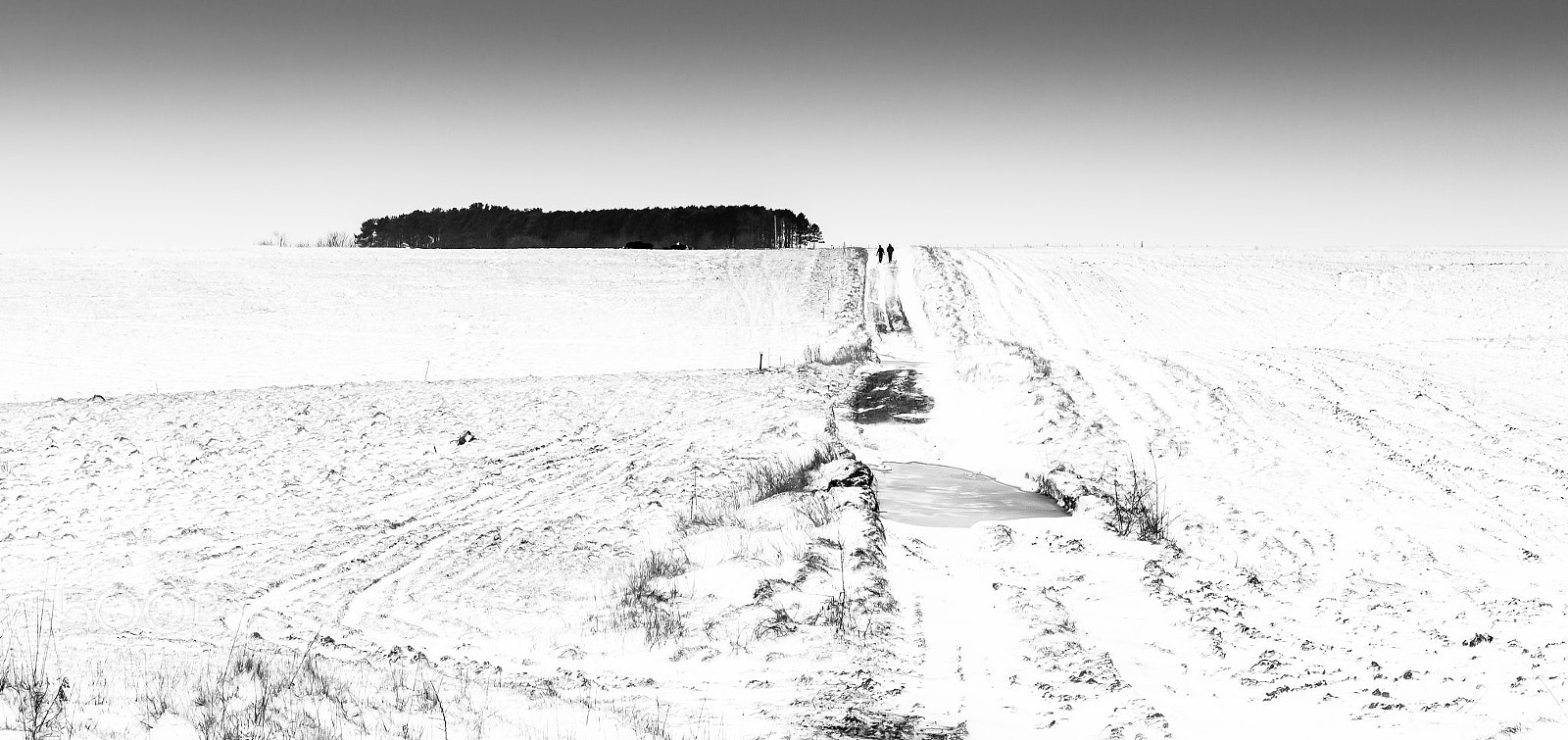 Canon EOS 5D Mark II sample photo. Walkers brave cold conditions photography