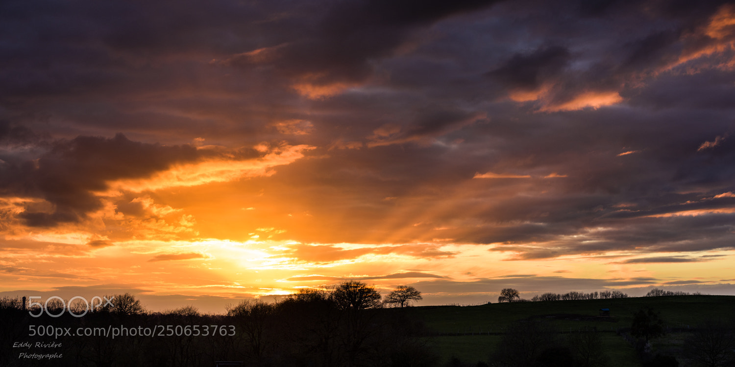Nikon D810 sample photo. Last rays photography