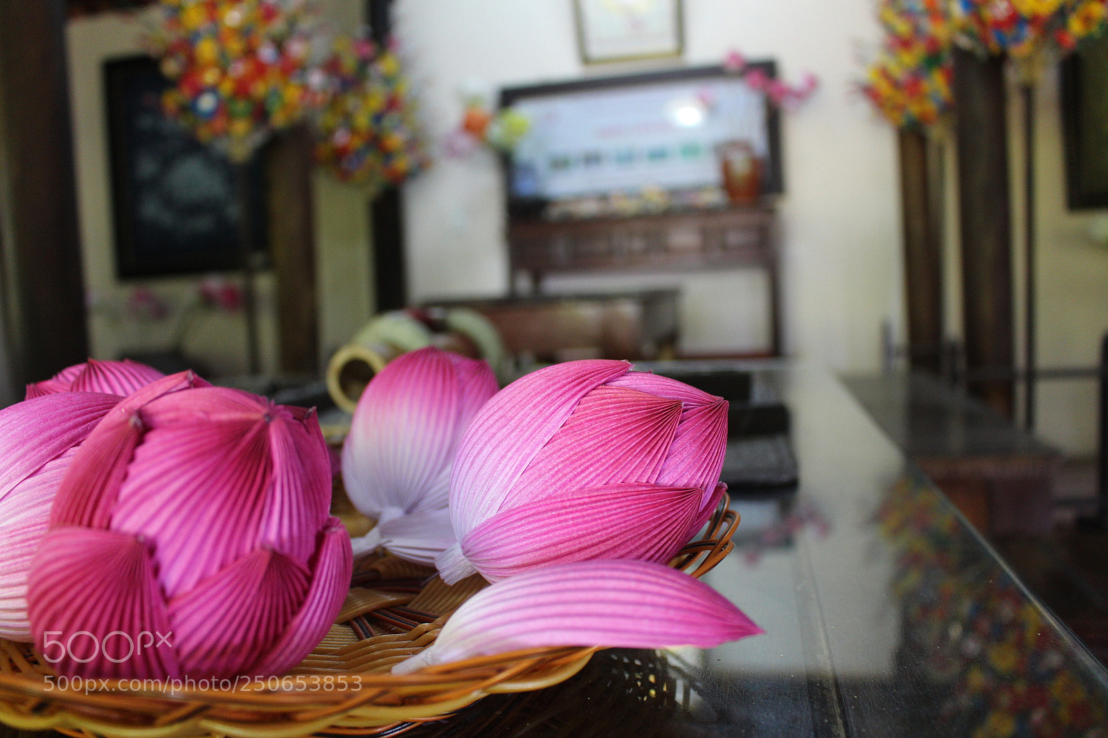 Canon EOS 700D (EOS Rebel T5i / EOS Kiss X7i) sample photo. Lotus paper flowers photography