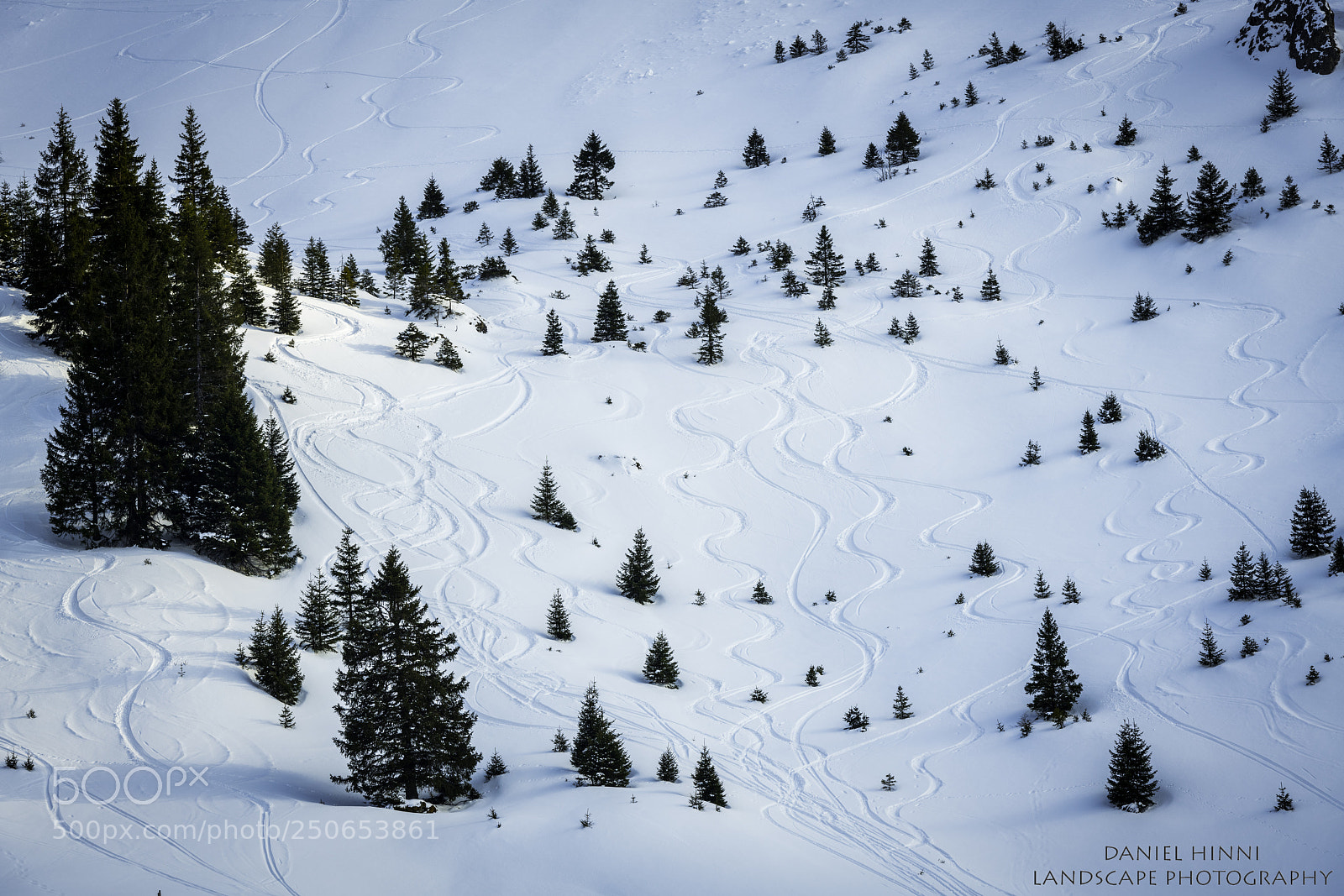 Nikon D850 sample photo. Slalom photography