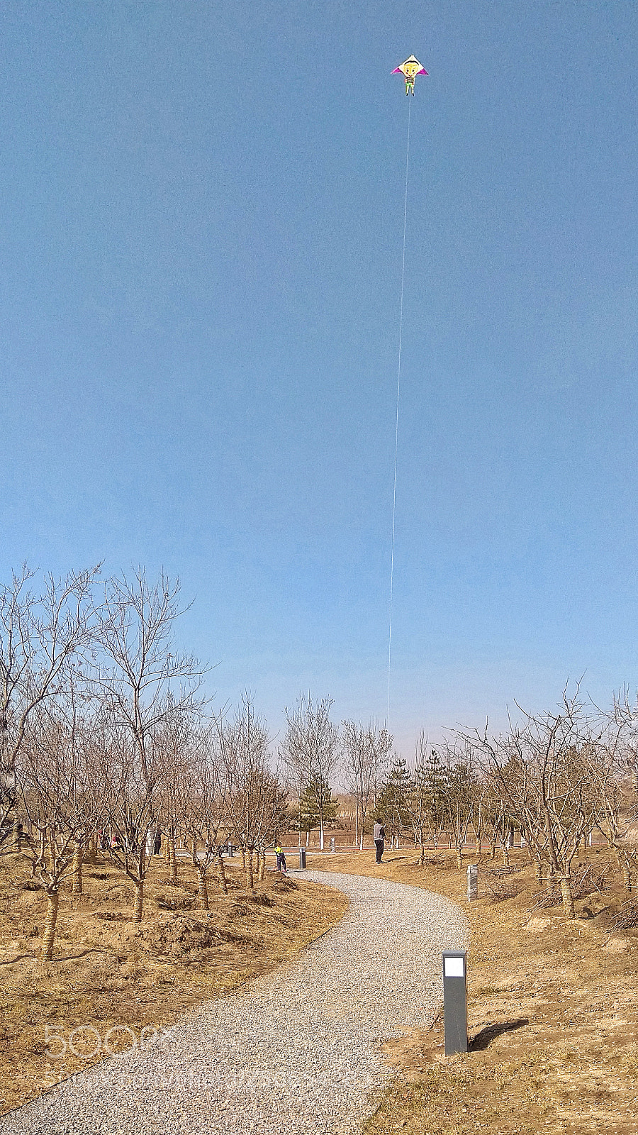 Xiaomi Redmi Note 4X sample photo. 风 photography