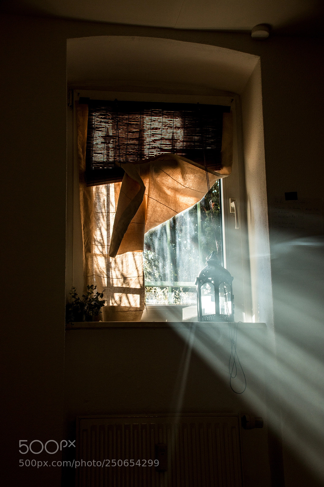 Canon EOS 70D sample photo. Morning photography