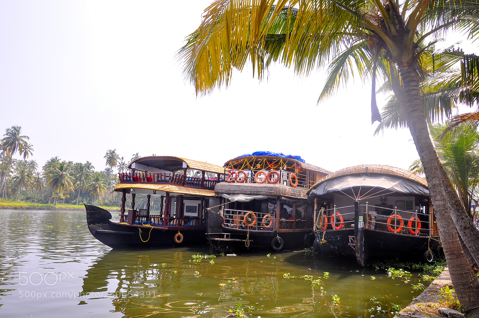 Nikon D90 sample photo. Houseboats in backwaters photography