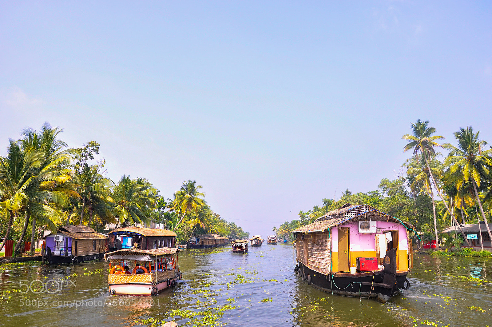 Nikon D90 sample photo. Houseboats in backwaters photography