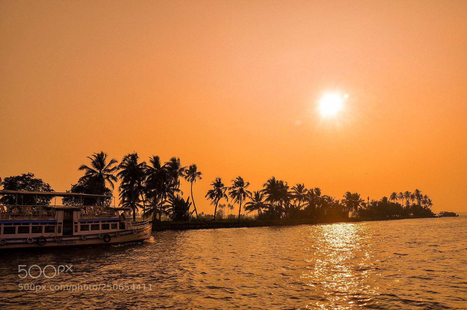 Nikon D90 sample photo. Houseboats in backwaters photography