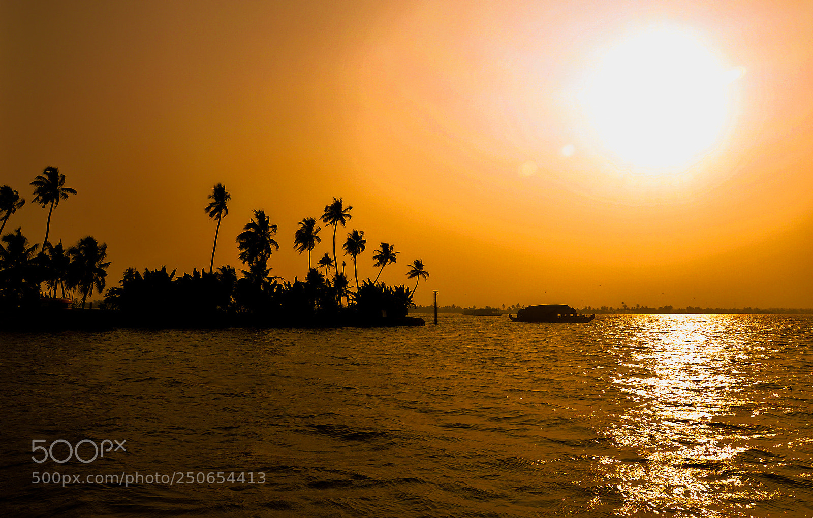 Nikon D90 sample photo. Houseboats in backwaters photography