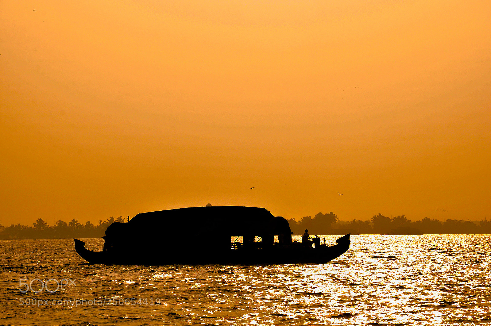Nikon D90 sample photo. Houseboats in backwaters photography