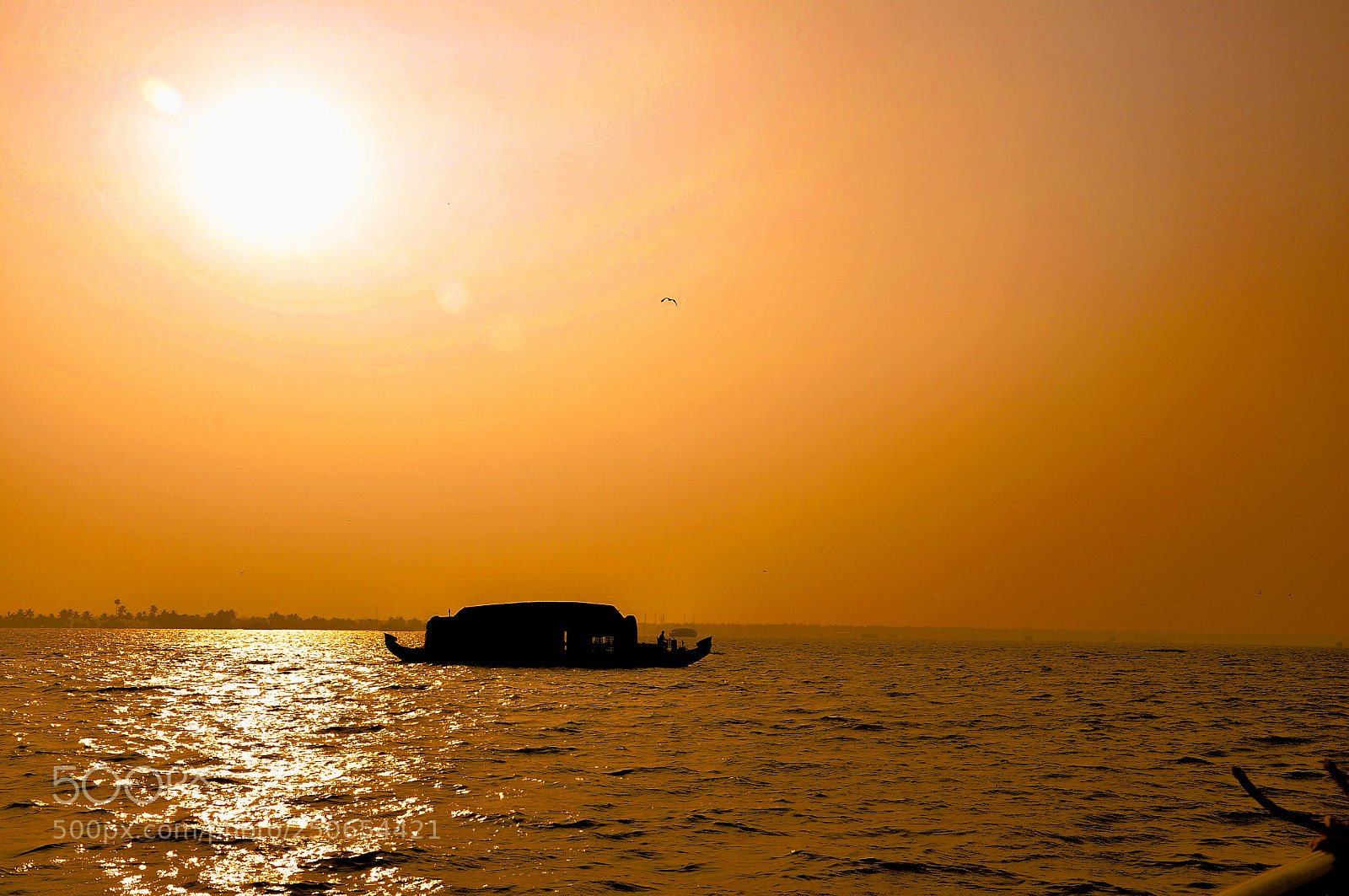 Nikon D90 sample photo. Houseboats in backwaters photography