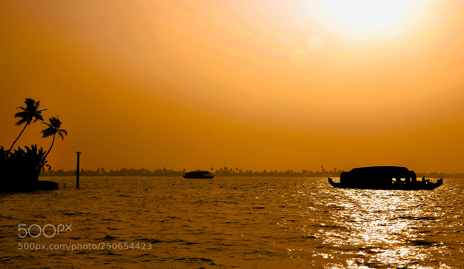 Nikon D90 sample photo. Houseboats in backwaters photography