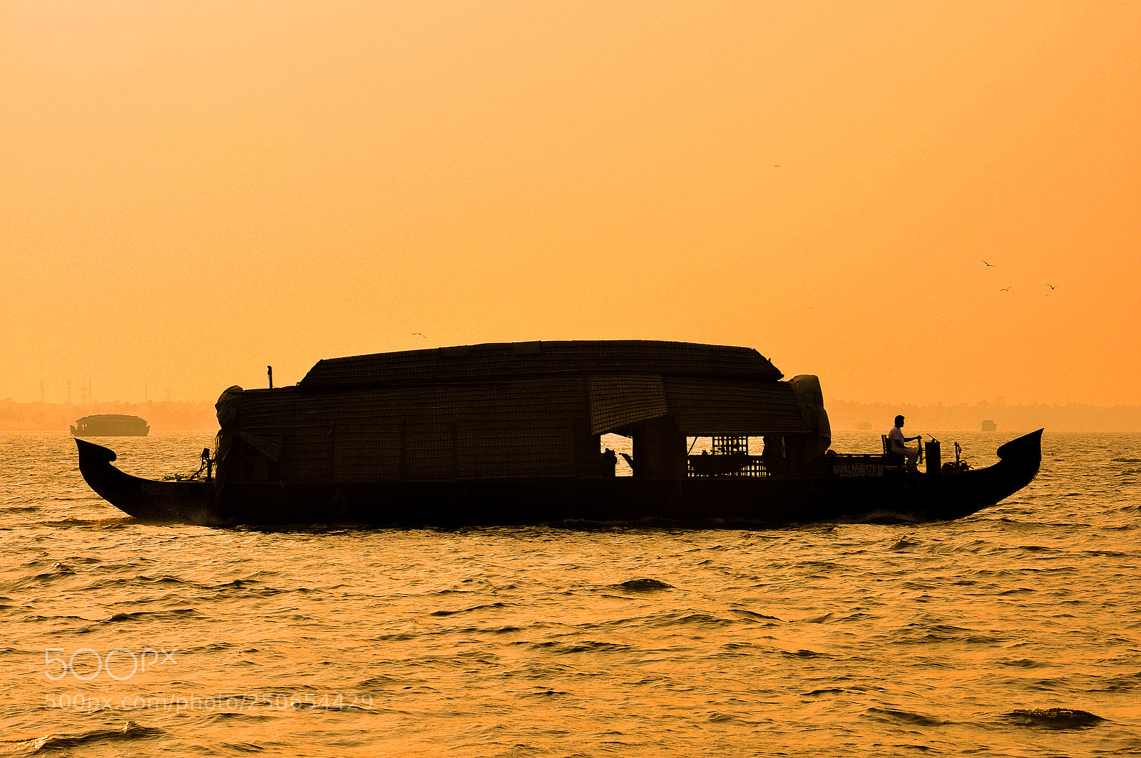 Nikon D90 sample photo. Houseboats in backwaters photography