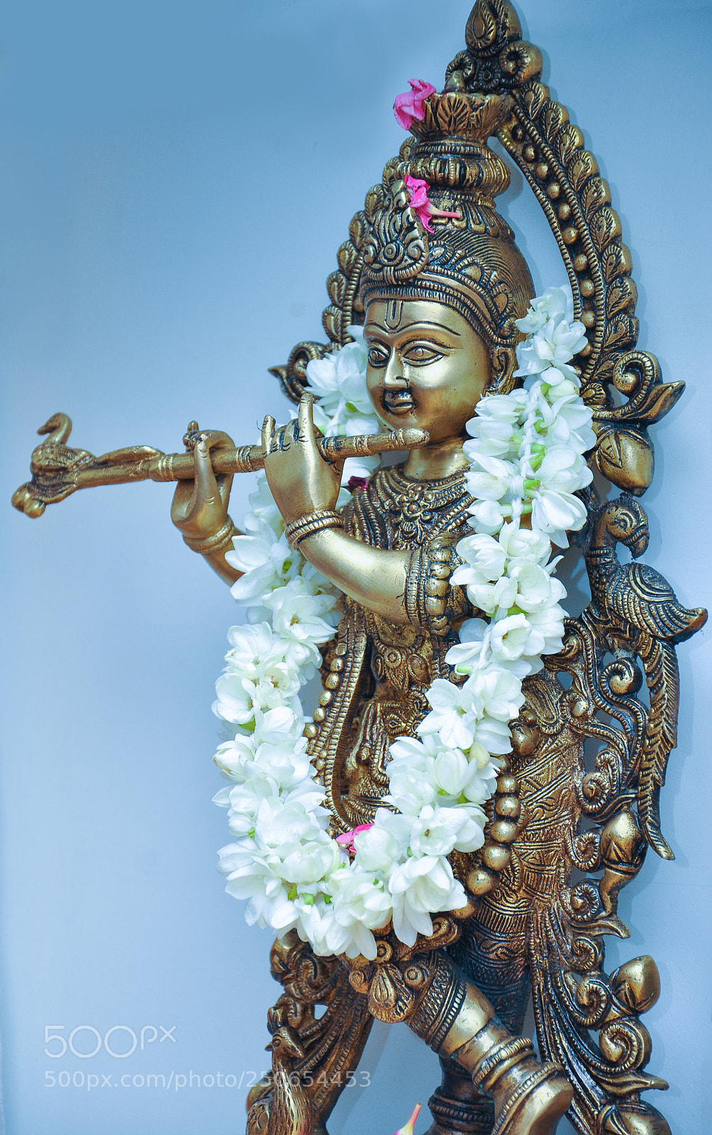 Nikon D90 sample photo. Shri krishna photography
