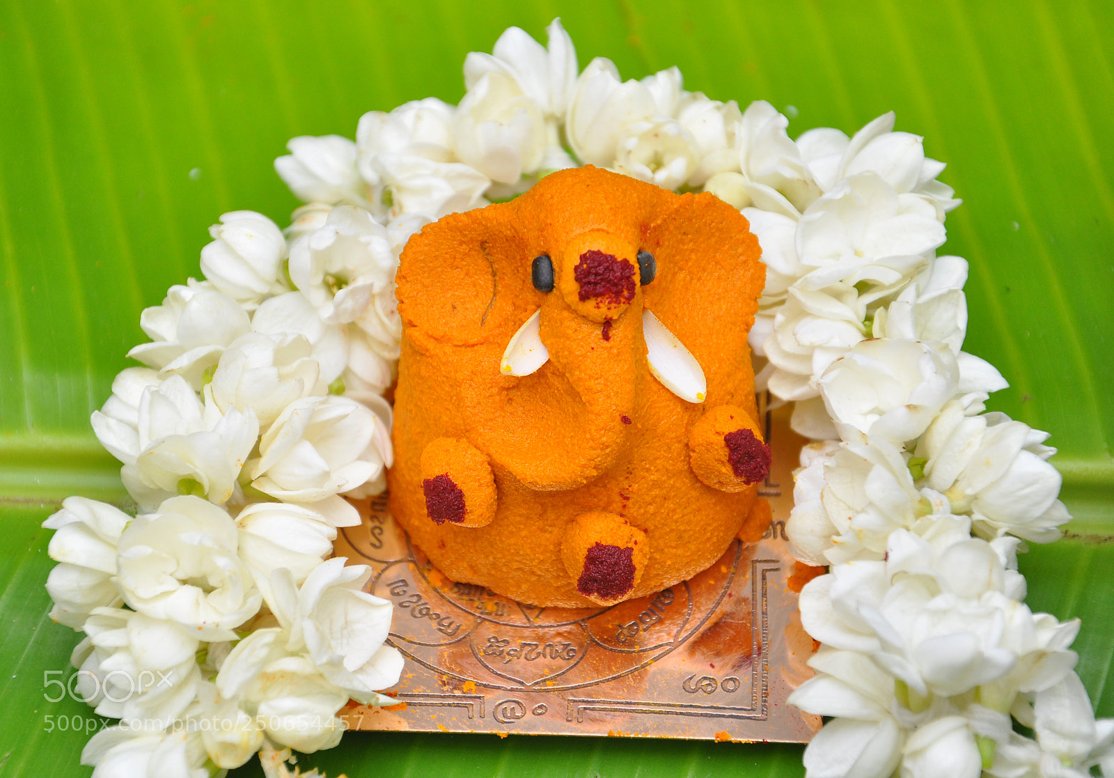 Nikon D90 sample photo. Turmeric idol photography