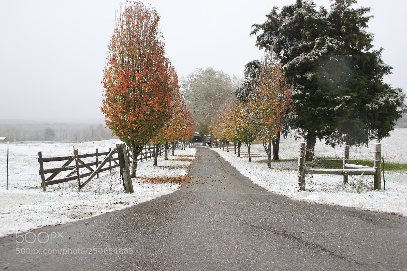 Canon EOS 550D (EOS Rebel T2i / EOS Kiss X4) sample photo. Snow in the south photography