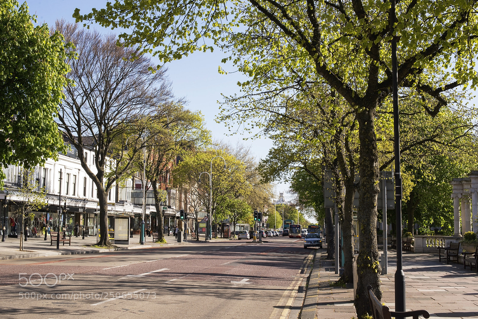 Nikon D600 sample photo. Spring boulevarde (1) photography