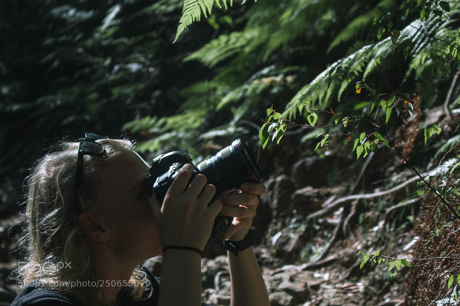 Canon EOS 70D sample photo. Photographer in the trees photography