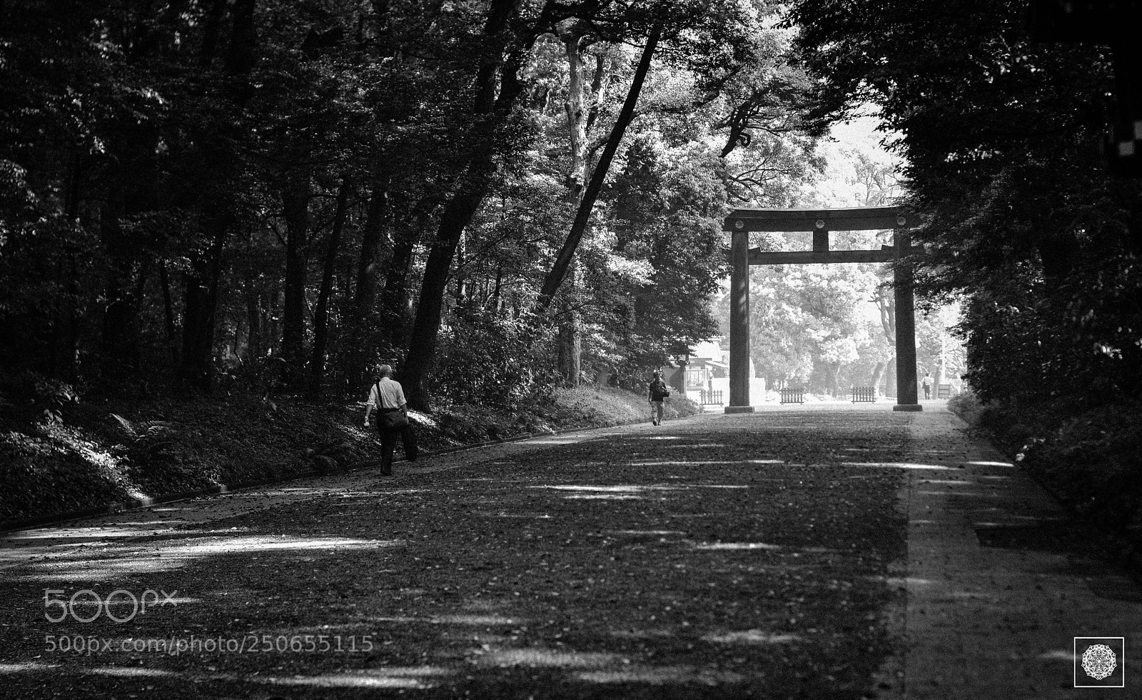 Nikon D7100 sample photo. Path photography