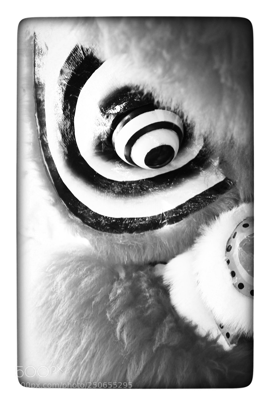 Canon EOS 7D sample photo. Lion dance photography