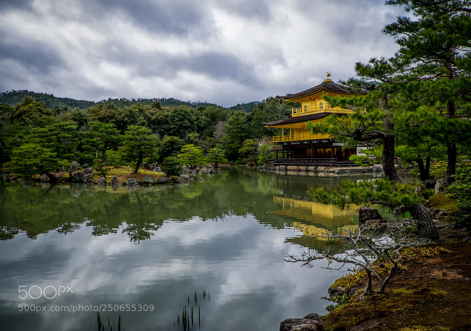 Fujifilm X-T1 sample photo. Parallel worlds photography