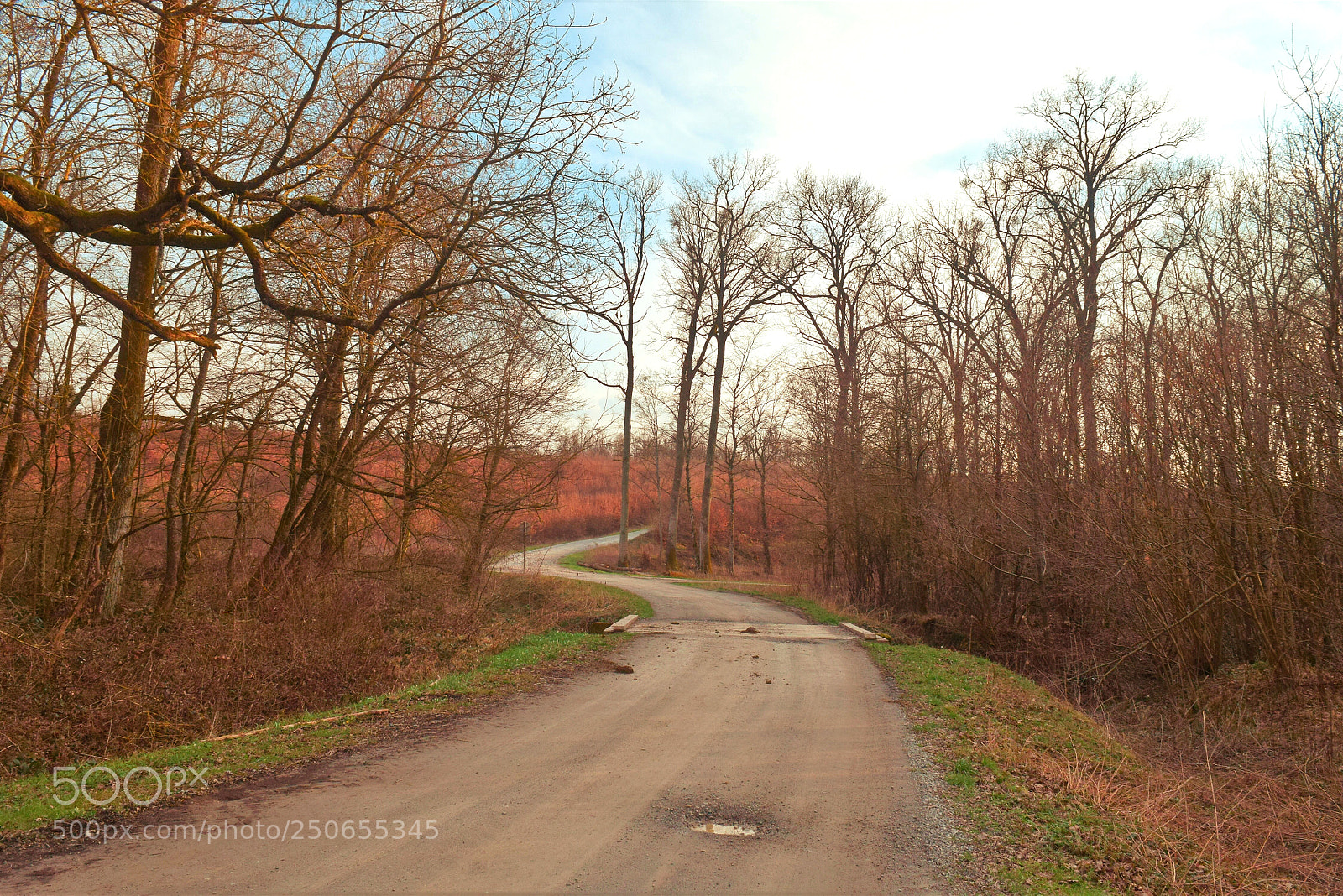 Nikon D3300 sample photo. Road photography