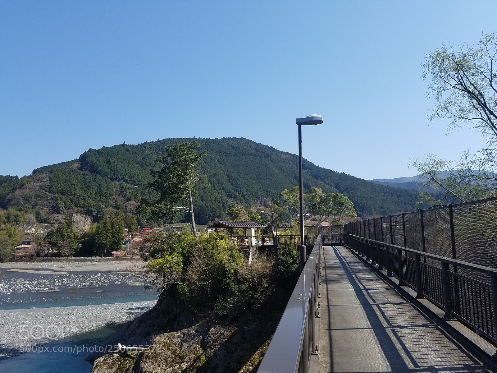 Samsung Galaxy S7 Edge sample photo. Contemplar… photography