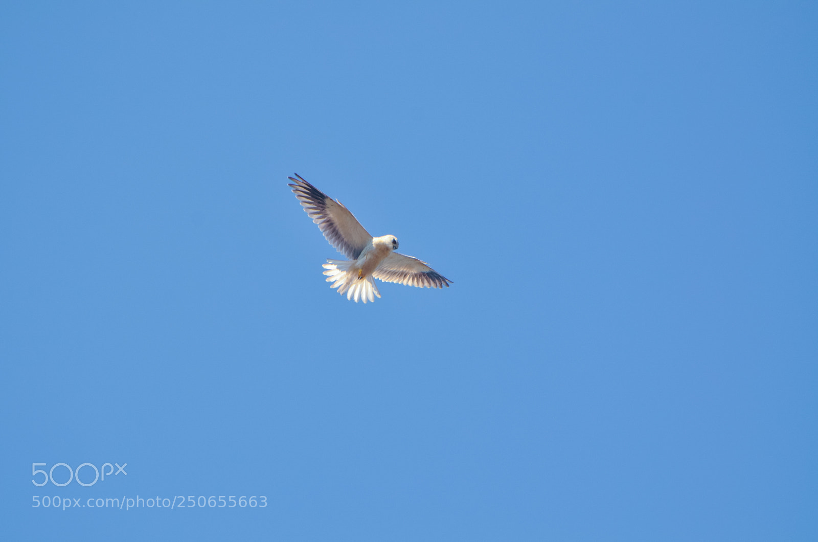 Nikon D7000 sample photo. Nature photography