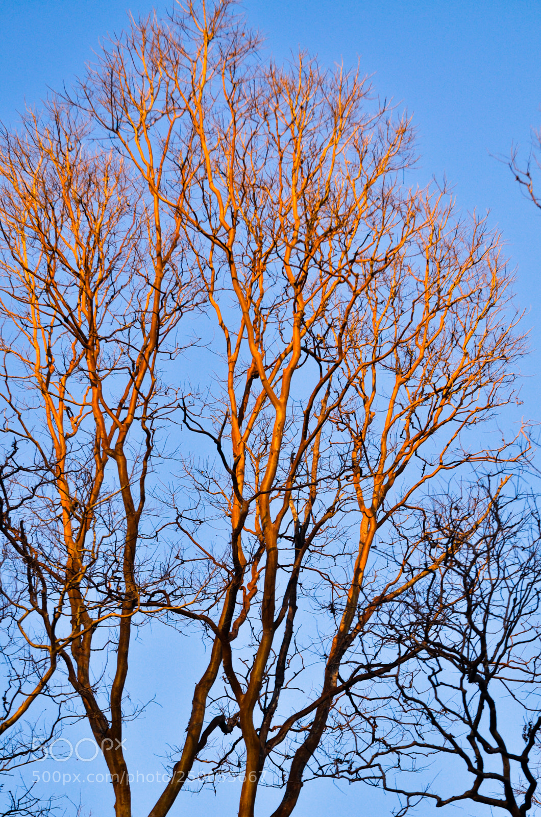 Nikon D7000 sample photo. Nature photography