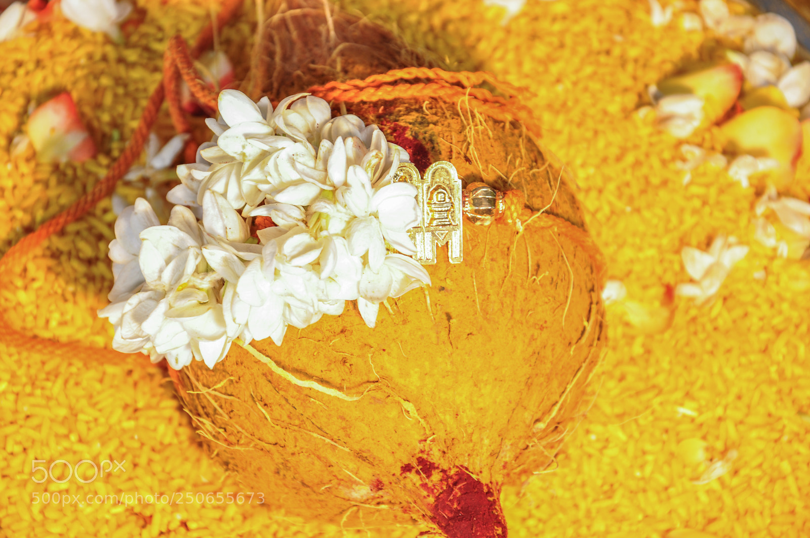 Nikon D90 sample photo. South indian wedding photography
