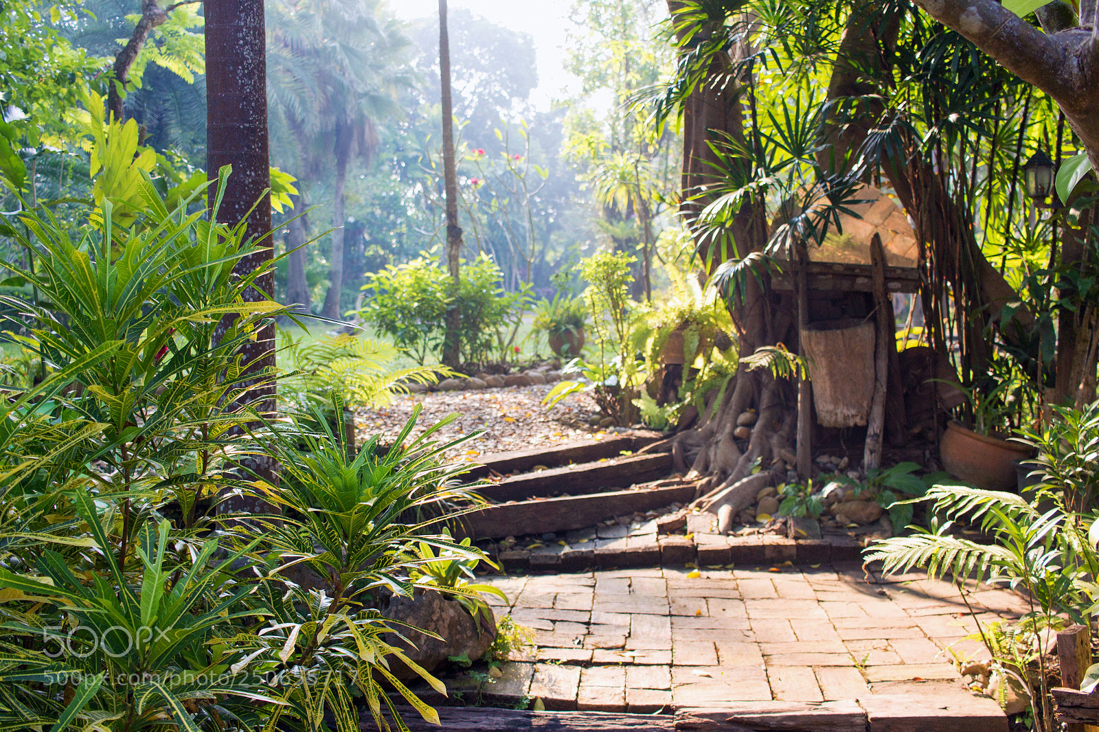 Canon EOS 700D (EOS Rebel T5i / EOS Kiss X7i) sample photo. Garden walkway in resort photography