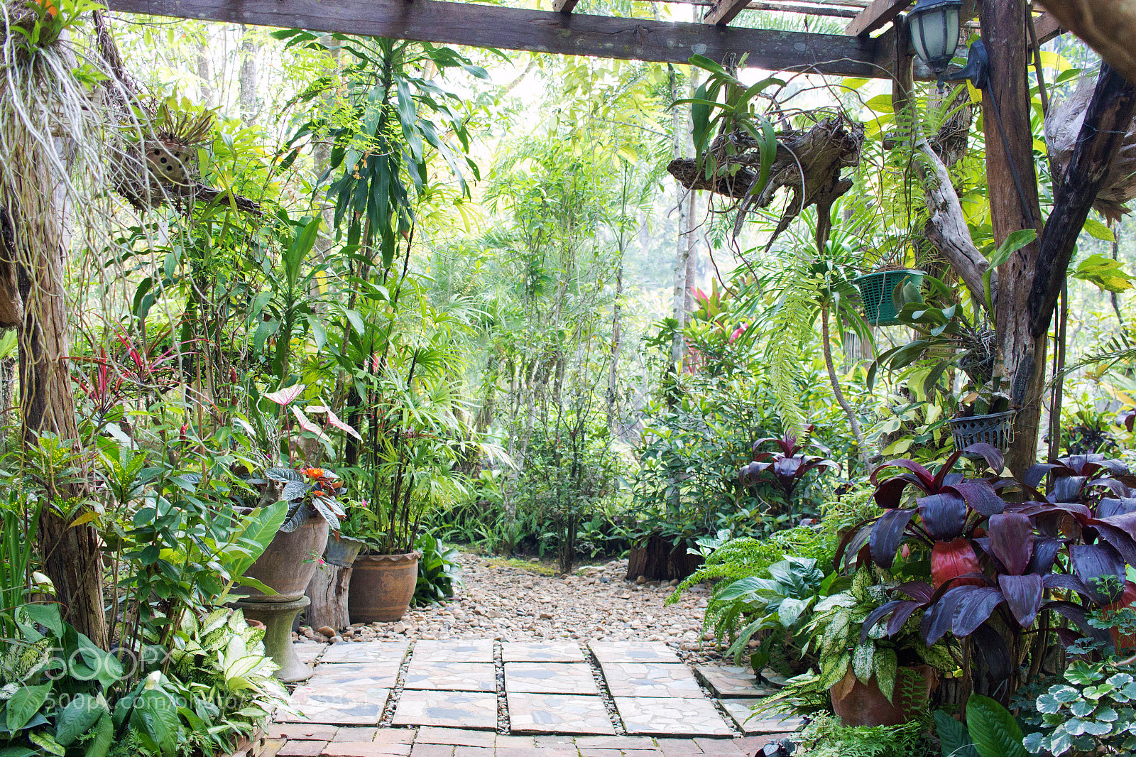 Canon EOS 700D (EOS Rebel T5i / EOS Kiss X7i) sample photo. Garden walkway in resort photography